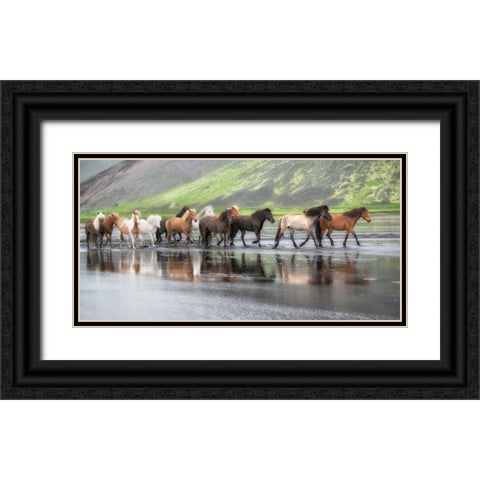 Icelandic Horses XIV Black Ornate Wood Framed Art Print with Double Matting by Burchett, P.H.
