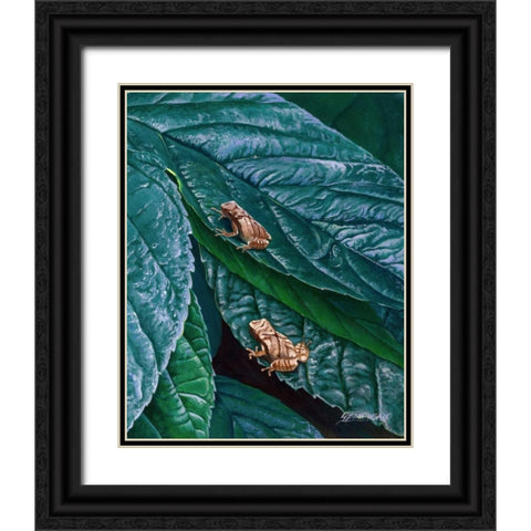 Spring Peepers II Black Ornate Wood Framed Art Print with Double Matting by Szatkowski, Fred