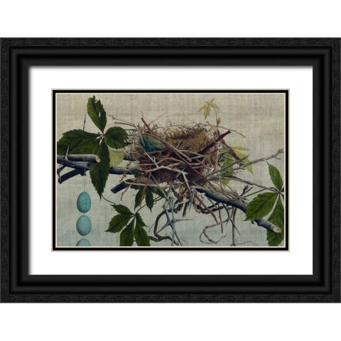 Nesting I Black Ornate Wood Framed Art Print with Double Matting by Butler, John