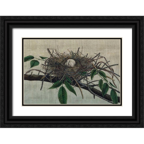 Nesting III Black Ornate Wood Framed Art Print with Double Matting by Butler, John