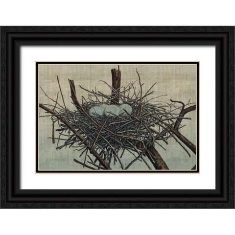 Nesting IV Black Ornate Wood Framed Art Print with Double Matting by Butler, John