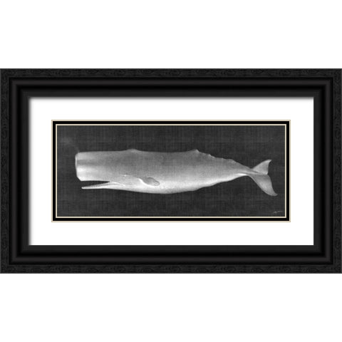 Whale Watching II Black Ornate Wood Framed Art Print with Double Matting by Butler, John