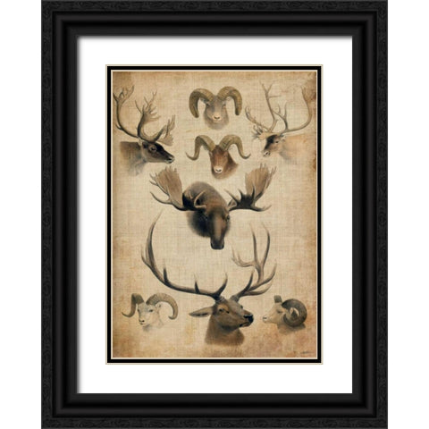 American Trophy I Black Ornate Wood Framed Art Print with Double Matting by Butler, John