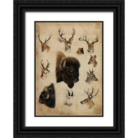 American Trophy III Black Ornate Wood Framed Art Print with Double Matting by Butler, John