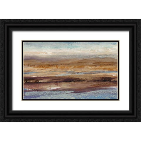 Birds Eye View II Black Ornate Wood Framed Art Print with Double Matting by OToole, Tim