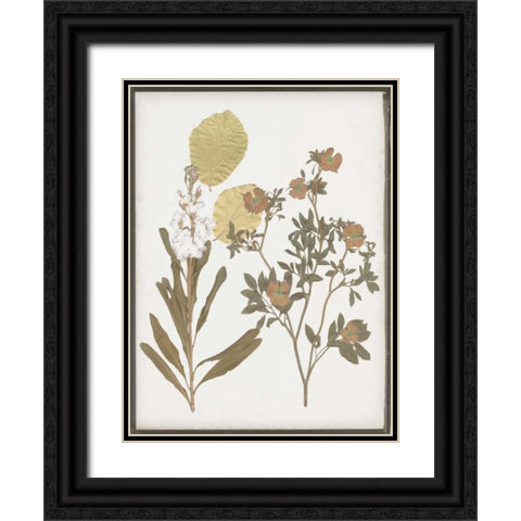 Book-Pressed Flowers I Black Ornate Wood Framed Art Print with Double Matting by Goldberger, Jennifer