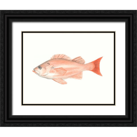 Watercolor Deep Sea Fish I Black Ornate Wood Framed Art Print with Double Matting by McCavitt, Naomi