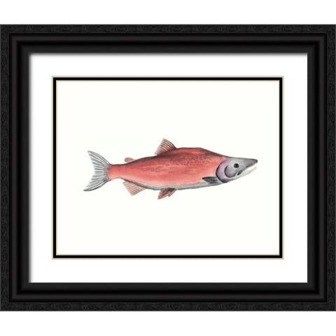 Watercolor Deep Sea Fish III Black Ornate Wood Framed Art Print with Double Matting by McCavitt, Naomi