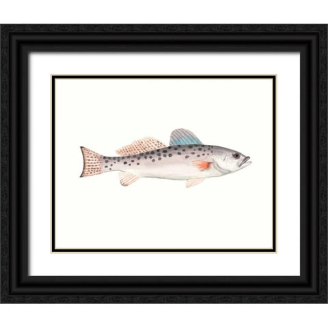 Watercolor Deep Sea Fish IV Black Ornate Wood Framed Art Print with Double Matting by McCavitt, Naomi