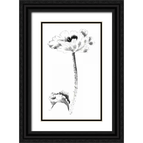 Ink Poppy Black Ornate Wood Framed Art Print with Double Matting by Rae, Nan