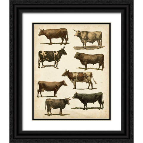 Antique Cow Chart Black Ornate Wood Framed Art Print with Double Matting by Vision Studio