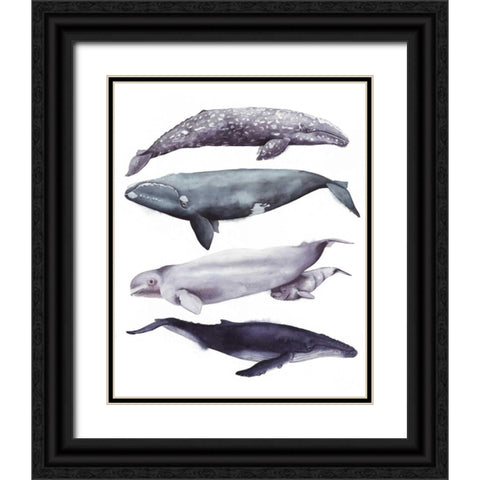 Whale Stack I Black Ornate Wood Framed Art Print with Double Matting by Popp, Grace