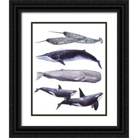 Whale Stack II Black Ornate Wood Framed Art Print with Double Matting by Popp, Grace