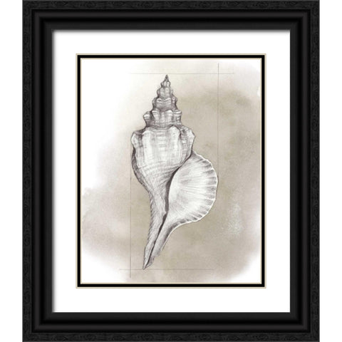 Shell Diagram I Black Ornate Wood Framed Art Print with Double Matting by Popp, Grace