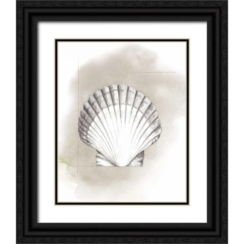 Shell Diagram II Black Ornate Wood Framed Art Print with Double Matting by Popp, Grace