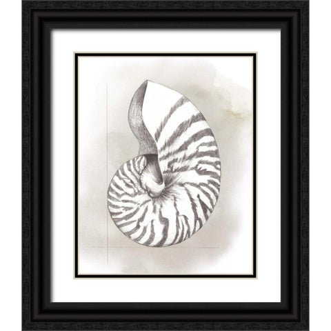 Shell Diagram III Black Ornate Wood Framed Art Print with Double Matting by Popp, Grace