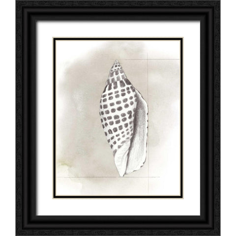 Shell Diagram IV Black Ornate Wood Framed Art Print with Double Matting by Popp, Grace