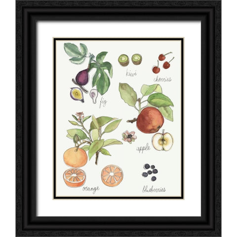 Fruit Medley I Black Ornate Wood Framed Art Print with Double Matting by McCavitt, Naomi
