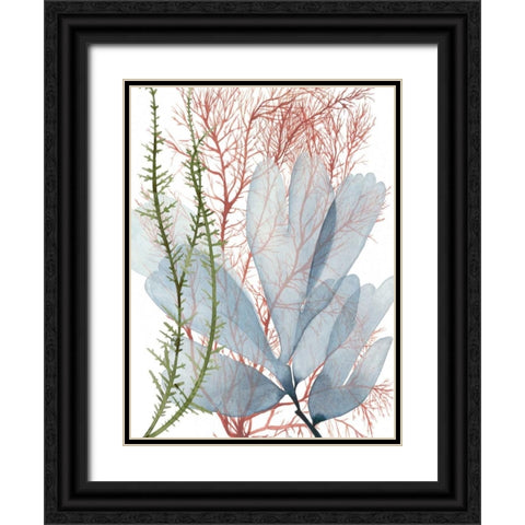 Seaweed Flow I Black Ornate Wood Framed Art Print with Double Matting by Popp, Grace