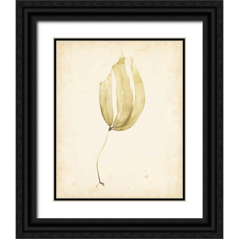 Watercolor Sea Grass III Black Ornate Wood Framed Art Print with Double Matting by Popp, Grace