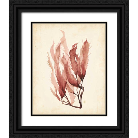 Watercolor Sea Grass IV Black Ornate Wood Framed Art Print with Double Matting by Popp, Grace