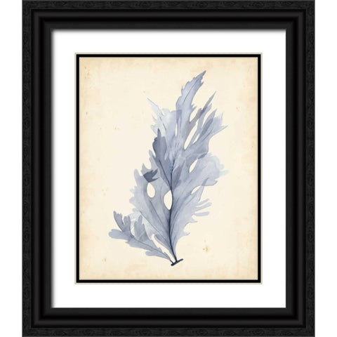 Watercolor Sea Grass VI Black Ornate Wood Framed Art Print with Double Matting by Popp, Grace