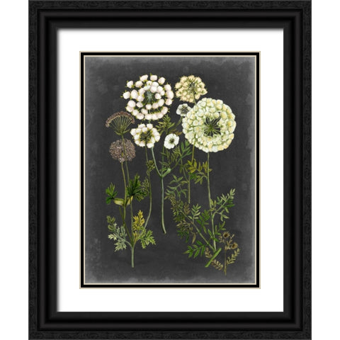 Bookplate Floral II Black Ornate Wood Framed Art Print with Double Matting by McCavitt, Naomi