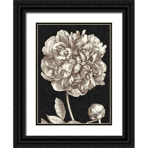 Dramatic Peony I Black Ornate Wood Framed Art Print with Double Matting by Vision Studio