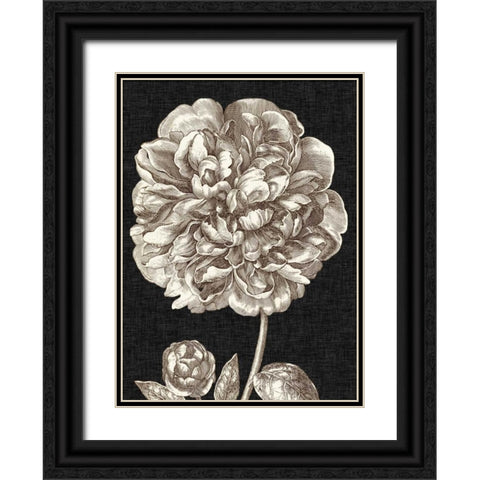 Dramatic Peony II Black Ornate Wood Framed Art Print with Double Matting by Vision Studio