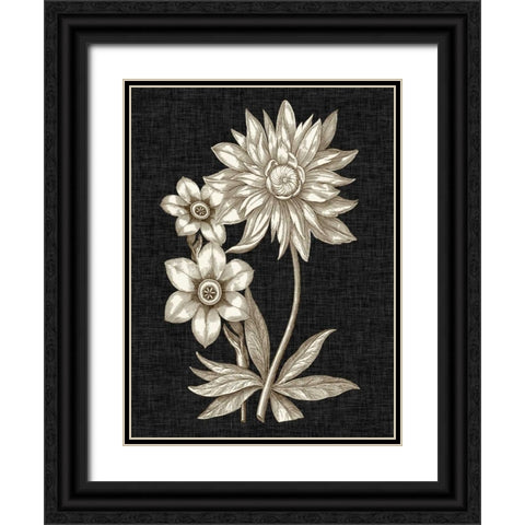 Dramatic Chintz I Black Ornate Wood Framed Art Print with Double Matting by Vision Studio