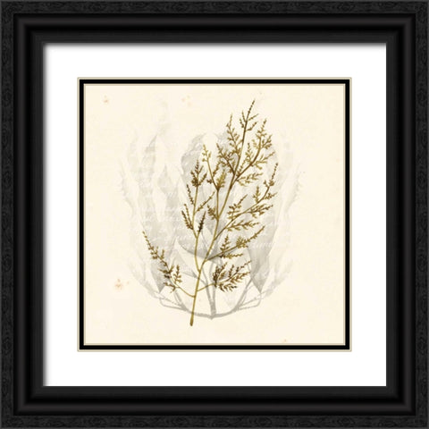 Vivid Algae I Black Ornate Wood Framed Art Print with Double Matting by Popp, Grace