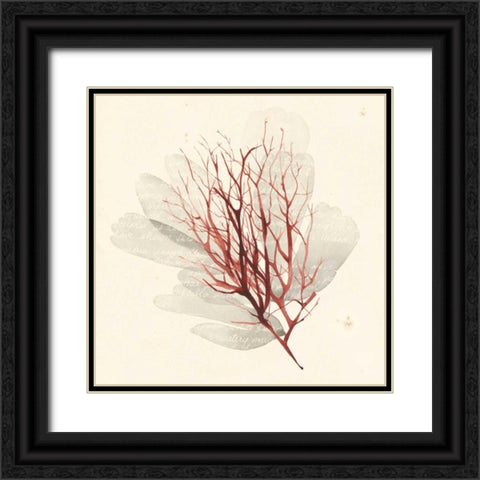 Vivid Algae II Black Ornate Wood Framed Art Print with Double Matting by Popp, Grace