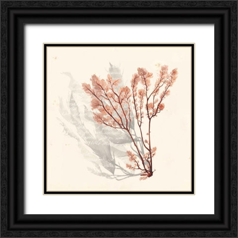 Vivid Algae VI Black Ornate Wood Framed Art Print with Double Matting by Popp, Grace