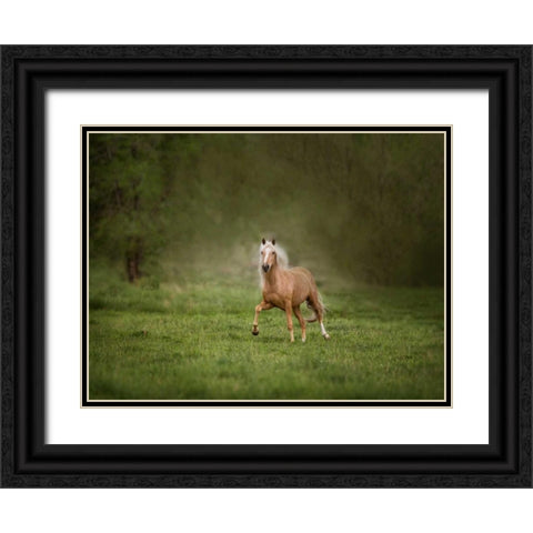 Horse in the Field II Black Ornate Wood Framed Art Print with Double Matting by Sturgeon, Ozana