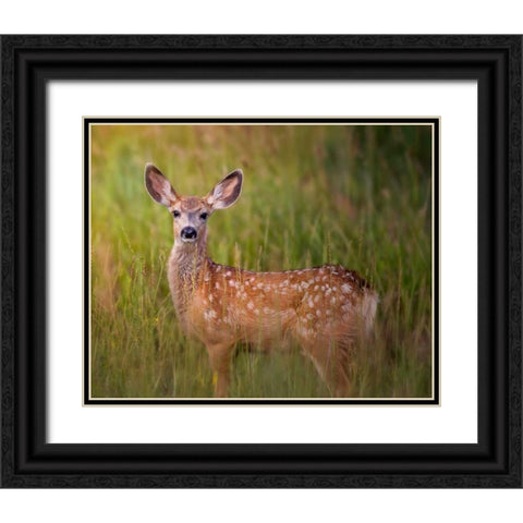 Deer Watch IV Black Ornate Wood Framed Art Print with Double Matting by Sturgeon, Ozana