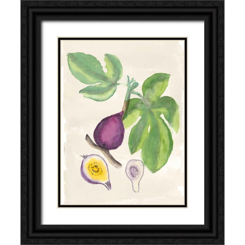 Watercolor Fruit I Black Ornate Wood Framed Art Print with Double Matting by McCavitt, Naomi