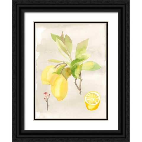 Watercolor Fruit II Black Ornate Wood Framed Art Print with Double Matting by McCavitt, Naomi