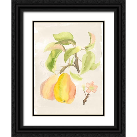 Watercolor Fruit III Black Ornate Wood Framed Art Print with Double Matting by McCavitt, Naomi
