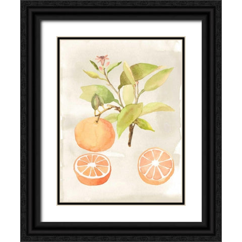 Watercolor Fruit V Black Ornate Wood Framed Art Print with Double Matting by McCavitt, Naomi
