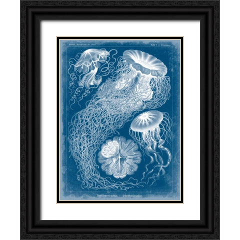 Marine Blueprint II Black Ornate Wood Framed Art Print with Double Matting by Vision Studio