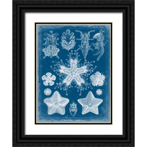 Marine Blueprint III Black Ornate Wood Framed Art Print with Double Matting by Vision Studio