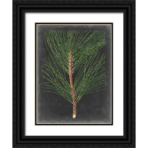 Dramatic Pine I Black Ornate Wood Framed Art Print with Double Matting by Vision Studio