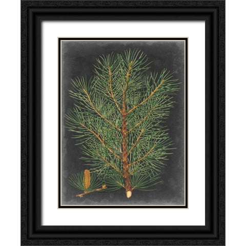 Dramatic Pine II Black Ornate Wood Framed Art Print with Double Matting by Vision Studio