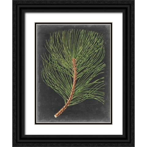 Dramatic Pine III Black Ornate Wood Framed Art Print with Double Matting by Vision Studio