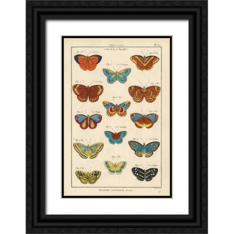 Histoire Naturelle Butterflies I Black Ornate Wood Framed Art Print with Double Matting by Unknown