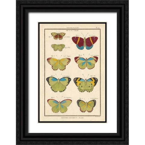 Histoire Naturelle Butterflies II Black Ornate Wood Framed Art Print with Double Matting by Unknown