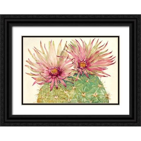 Cactus Blossoms I Black Ornate Wood Framed Art Print with Double Matting by OToole, Tim