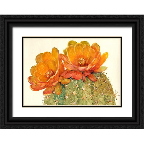 Cactus Blossoms II Black Ornate Wood Framed Art Print with Double Matting by OToole, Tim