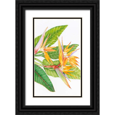 Exotic Flowers II Black Ornate Wood Framed Art Print with Double Matting by OToole, Tim