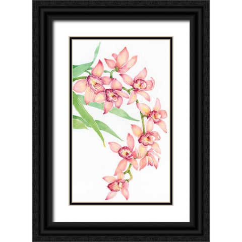 Exotic Flowers III Black Ornate Wood Framed Art Print with Double Matting by OToole, Tim